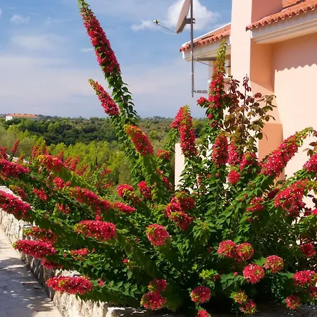 Villa Falcon Trapezaki (Kefalonia)